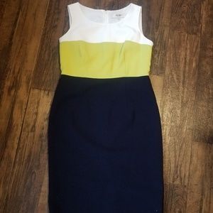 Jones Studio Dress